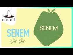 Senem - Çıt Çıt