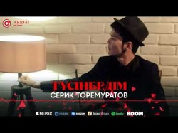 Серик Торемуратов - Түсінбедім