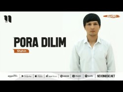 Shahin - Pora Dilim