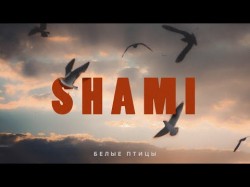 Shami - Белые Птицы Трека