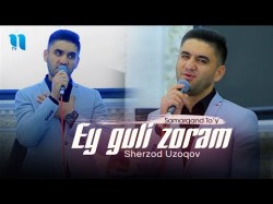 Sherzod Uzoqov - Ey Guli Zoram Samarqand To'y