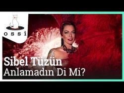 Sibel Tüzün - Anlamadın Di Mi