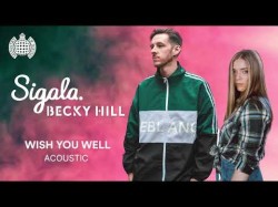 Sigala Ft Becky Hill - Wish You Well Acoustic