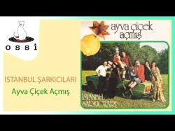 İstanbul Şarkıcıları - Ayva Çiçek Açmış