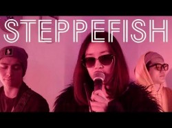 Steppefish - Тёплый Пол