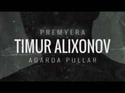 Timur Alixonov - Agarda Pullar