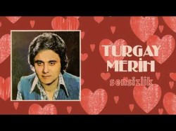 Turgay Merih - Sensizlik