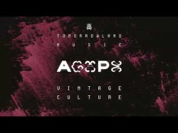 Vintage Culture - Agape Tomorrowland