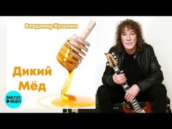 Владимир Кузьмин - Дикий мёд