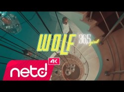 Wolf - 365 Girls