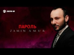 Zamin Amur - Пароль