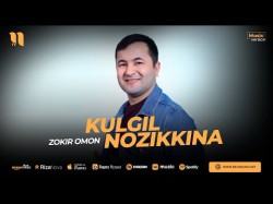 Zokir Omon - Kulgil Nozikkina